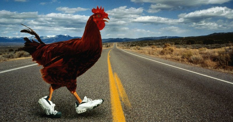 Chicken road game in Germany